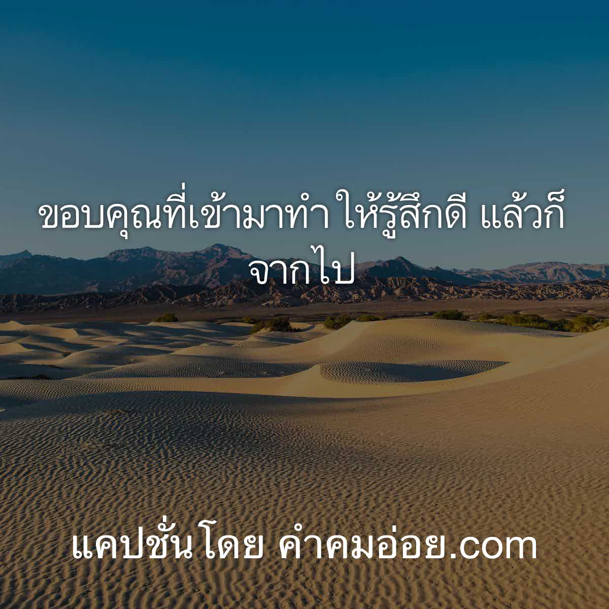 แคปชั่นเด็ดๆขอบคุณที่เข้ามาทำให้รู้สึกดี แล้วก็จากไป